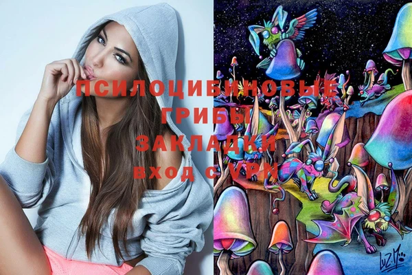 тгк Алексеевка