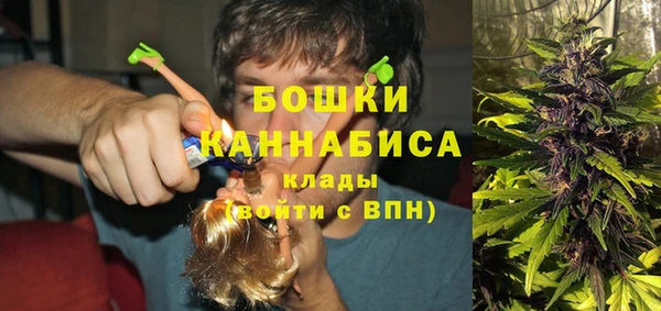 мяу мяу мука Алзамай