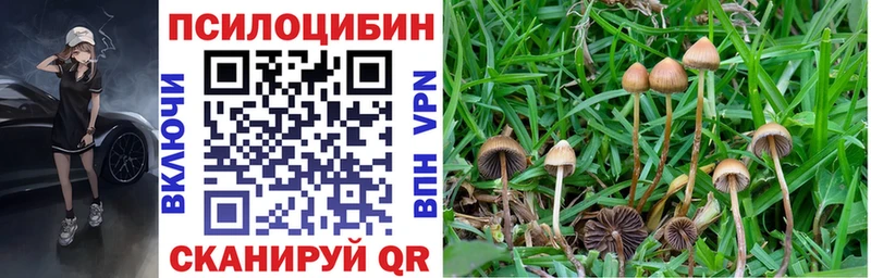 OMG сайт  Копейск  Галлюциногенные грибы MAGIC MUSHROOMS 